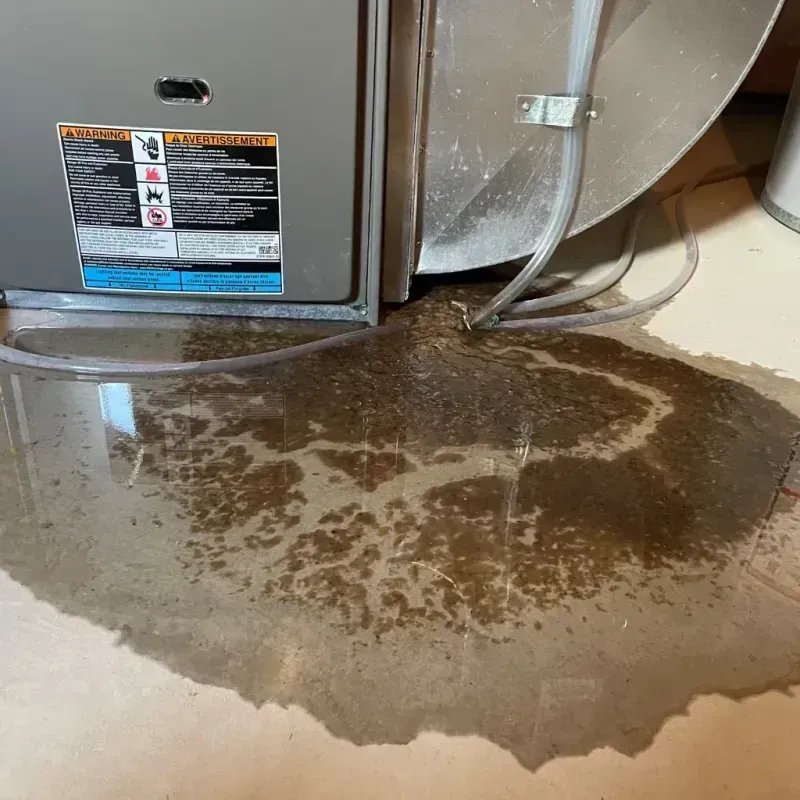 Appliance Leak Cleanup in La Paz County, AZ